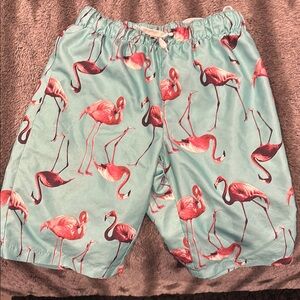 Flamingo Print Men's Shorts - Teal